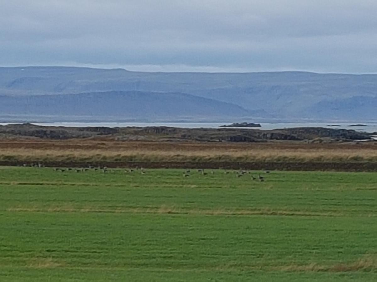 Гостьовий будинок Mithjanes Reykholahrepp Рейкголар Екстер'єр фото